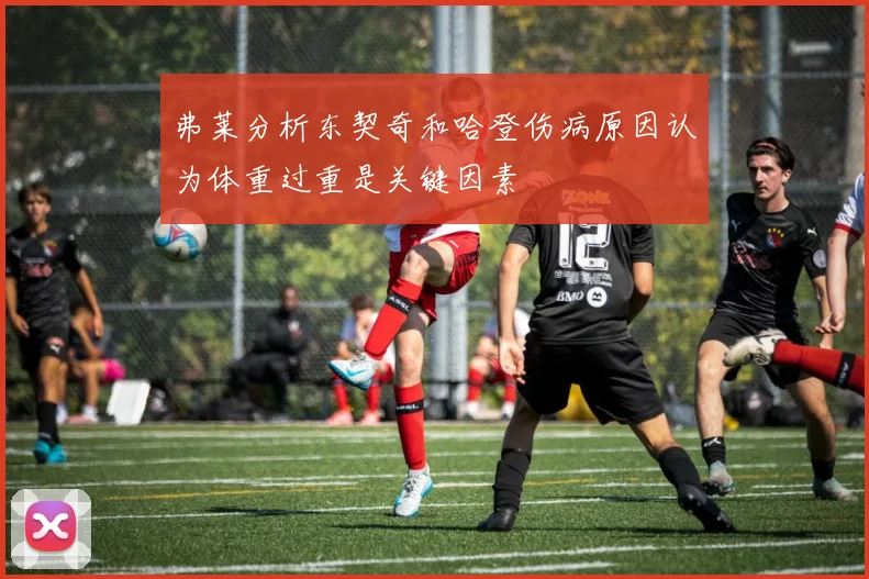弗莱分析东契奇和哈登伤病原因认为体重过重是关键因素